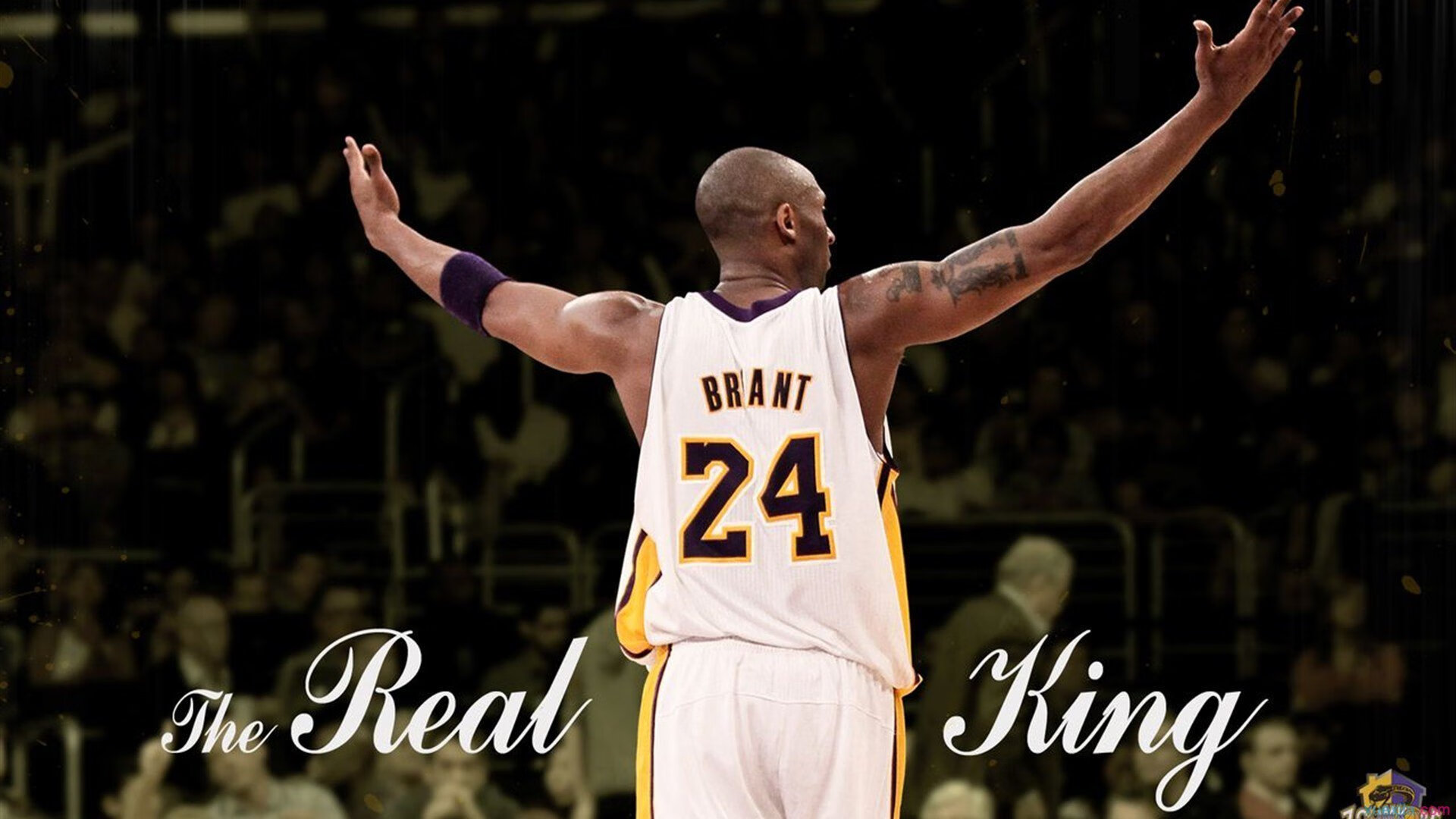 帕利斯特展现新生代自由泳力量,帕特里斯