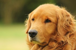 爱游戏中国官方登录入口网站-“战术变革带来不同凡响的比赛节奏与效果”，战术规律